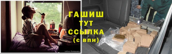 стафф Арсеньев