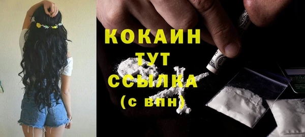 мет Няндома