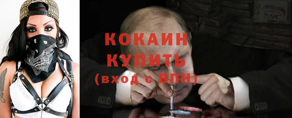 дживик Аркадак