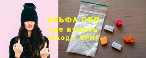 стафф Арсеньев