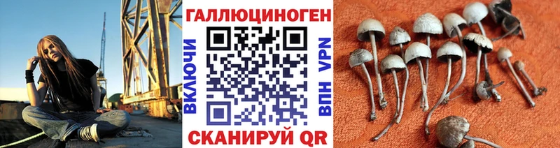 Псилоцибиновые грибы Psilocybine cubensis  Красноуфимск 